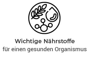 Wichtige Nährstoffe für einen gesunden Organismus