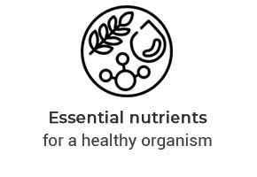 Important nutrients for a healthy organism