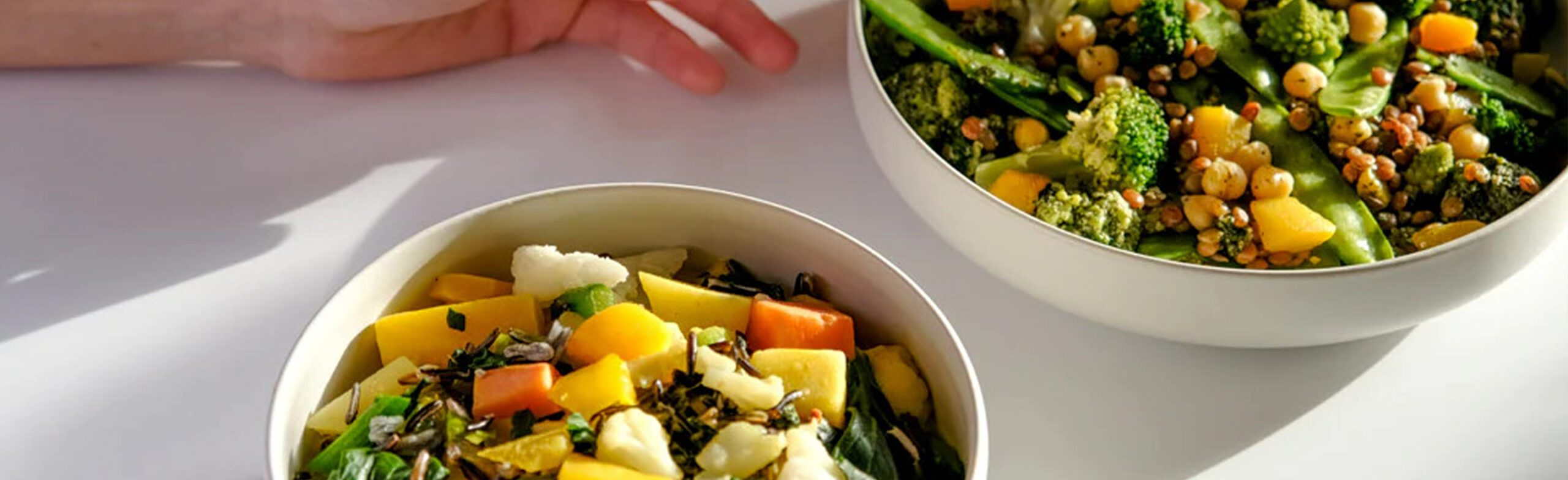 Gesunde Fertiggerichte als Alternative zum Kochen? Morbi vitae purus dictum, ultrices tellus in, gravida lectus.